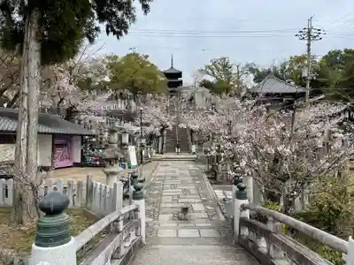 くろ谷 金戒光明寺(京都府)