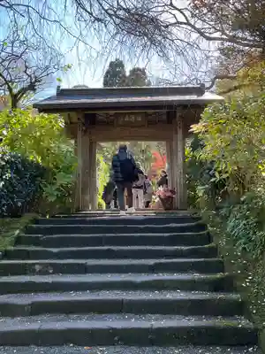 明月院(神奈川県)