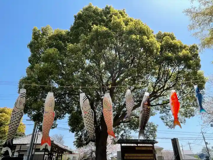 下総国三山 二宮神社のその他建物