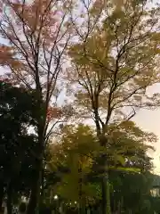 八雲氷川神社(東京都)