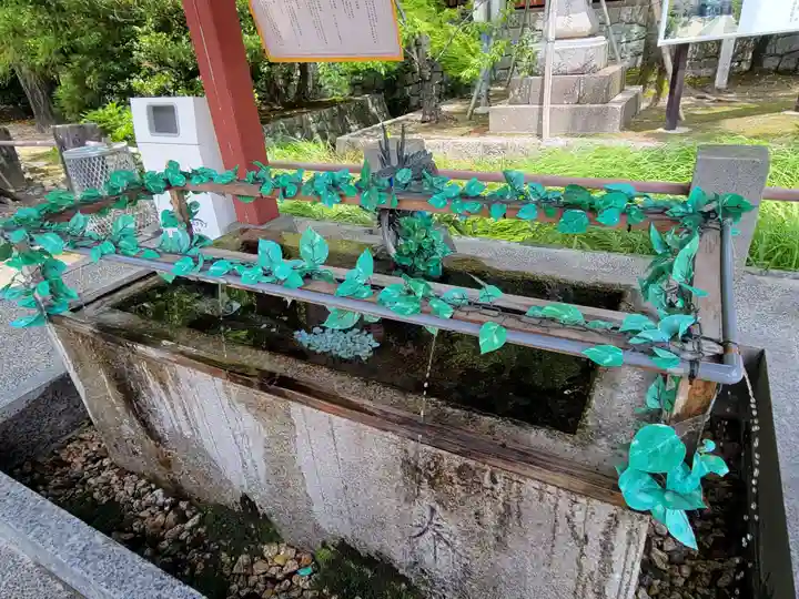 津島神社の手水舎
