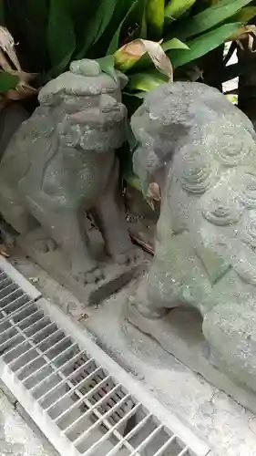 麻布氷川神社の狛犬