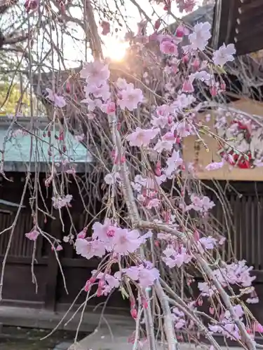 大宮八幡宮(東京都)