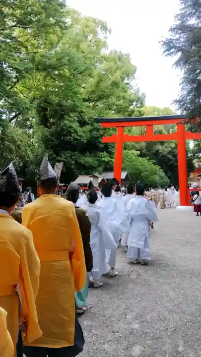 賀茂御祖神社(下鴨神社)の{uncategorized: "未分類", other: "その他", undefined: "問題あり", building: "その他建物", grave: "お墓", sacred_gate: "鳥居", guardian: "狛犬", statue: "像", buddha: "仏像", history: "歴史", nature: "自然", garden: "庭園", animal: "動物", pagoda: "塔", temizu: "手水舎", mountain_gate: "山門・神門", sanctuary: "本殿・本堂", subordinate: "末社・摂社", art: "芸術", scenery: "景色", jizo: "地蔵", ema: "絵馬", goshuin: "御朱印", omikuji: "おみくじ", items: "授与品その他", amulet: "お守り", goshuincho: "御朱印帳", eats: "食事", festival: "お祭り", votive_dance: "神楽", shichigosan: "七五三参", wedding: "結婚式", experience: "体験その他", initially: "初詣", around: "周辺", anti_infection: "感染症対策"}