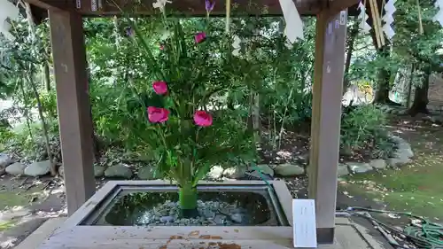 赤坂氷川神社(東京都)