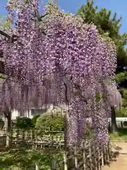 玉敷神社(埼玉県)