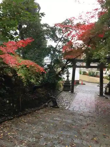 石座神社の鳥居