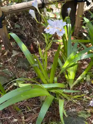 杉本寺の{uncategorized: "未分類", other: "その他", undefined: "問題あり", building: "その他建物", grave: "お墓", sacred_gate: "鳥居", guardian: "狛犬", statue: "像", buddha: "仏像", history: "歴史", nature: "自然", garden: "庭園", animal: "動物", pagoda: "塔", temizu: "手水舎", mountain_gate: "山門・神門", sanctuary: "本殿・本堂", subordinate: "末社・摂社", art: "芸術", scenery: "景色", jizo: "地蔵", ema: "絵馬", goshuin: "御朱印", omikuji: "おみくじ", items: "授与品その他", amulet: "お守り", goshuincho: "御朱印帳", eats: "食事", festival: "お祭り", votive_dance: "神楽", shichigosan: "七五三参", wedding: "結婚式", experience: "体験その他", initially: "初詣", around: "周辺", anti_infection: "感染症対策"}