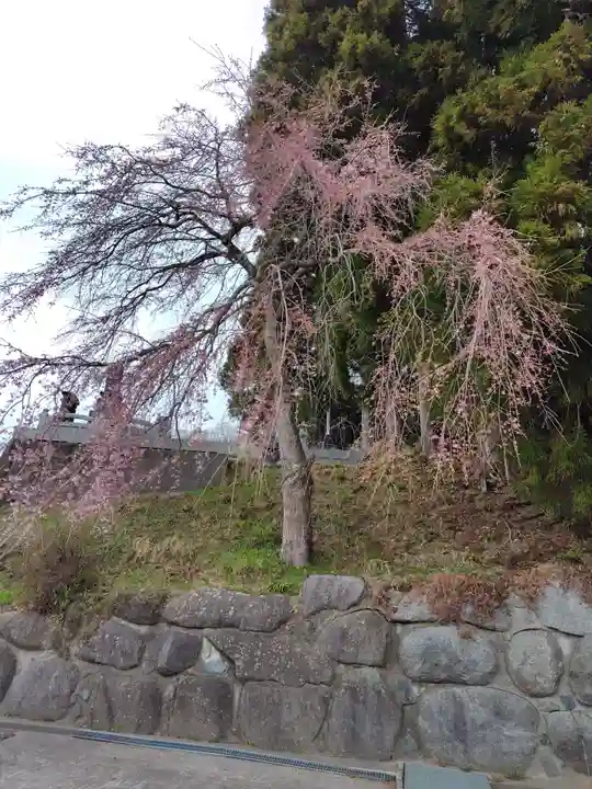 大乗寺(福島県)