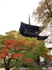 飛騨国分寺(岐阜県)