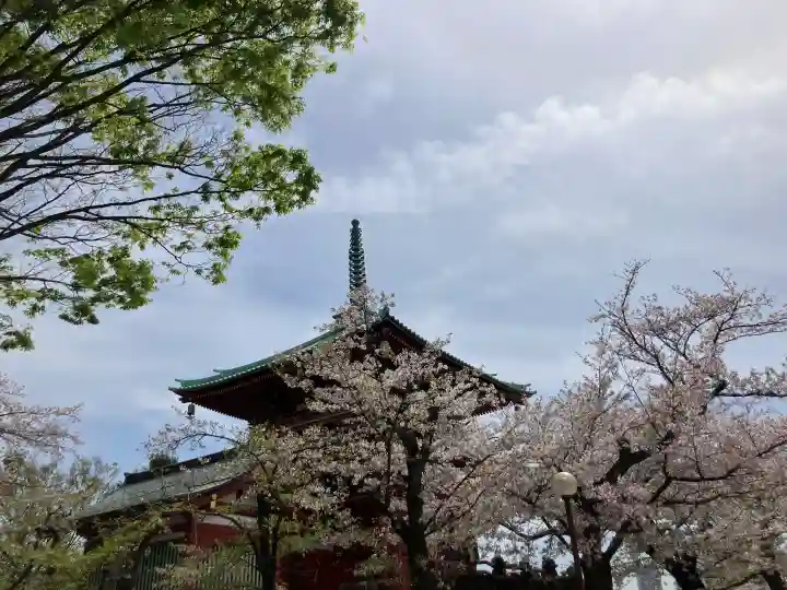 孝道山の{uncategorized: "未分類", other: "その他", undefined: "問題あり", building: "その他建物", grave: "お墓", sacred_gate: "鳥居", guardian: "狛犬", statue: "像", buddha: "仏像", history: "歴史", nature: "自然", garden: "庭園", animal: "動物", pagoda: "塔", temizu: "手水舎", mountain_gate: "山門・神門", sanctuary: "本殿・本堂", subordinate: "末社・摂社", art: "芸術", scenery: "景色", jizo: "地蔵", ema: "絵馬", goshuin: "御朱印", omikuji: "おみくじ", items: "授与品その他", amulet: "お守り", goshuincho: "御朱印帳", eats: "食事", festival: "お祭り", votive_dance: "神楽", shichigosan: "七五三参", wedding: "結婚式", experience: "体験その他", initially: "初詣", around: "周辺", anti_infection: "感染症対策"}