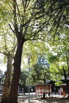 川口神社(埼玉県)