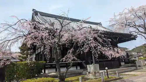 妙満寺(京都府)