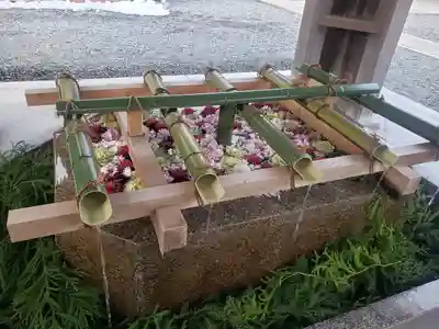 多賀大社の手水舎