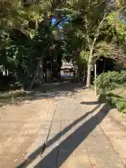 御霊神社(神奈川県)