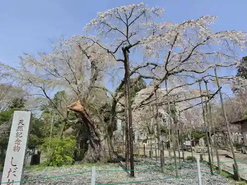 光琳寺(栃木県)