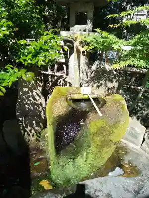 紅葉八幡宮の手水舎