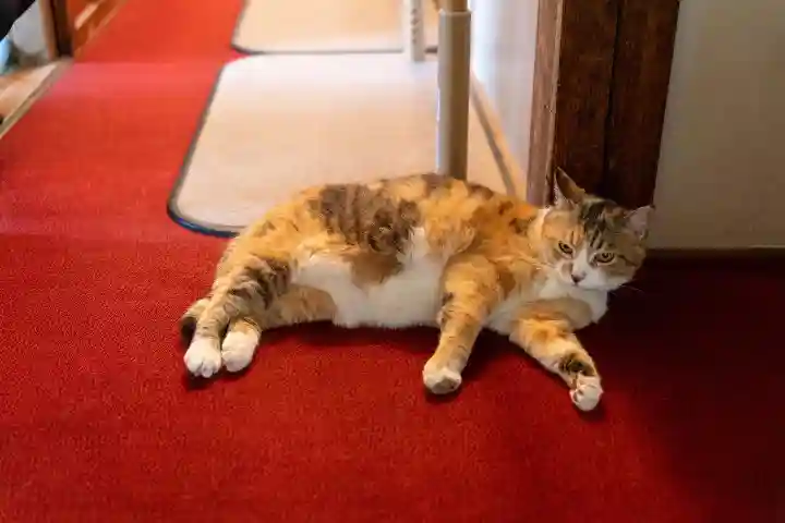 秩父札所十三番 慈眼寺(埼玉県)