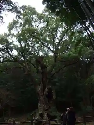 武雄神社(佐賀県)