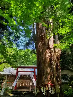 磐椅神社(福島県)