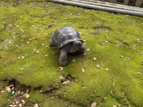 平松神社(鹿児島県)
