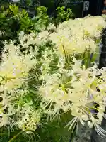 横浜 西方寺(神奈川県)