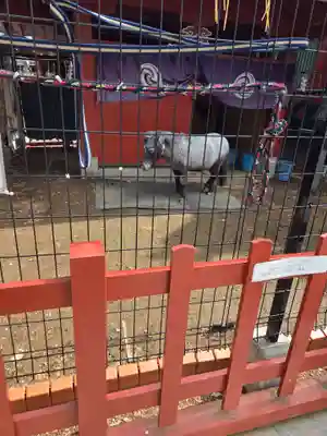 神田神社（神田明神）(東京都)