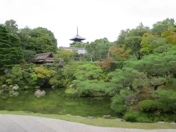 仁和寺の庭園