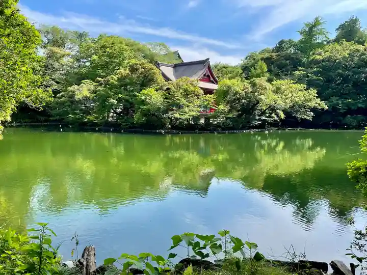 親之井稲荷(尊)跡(東京都)