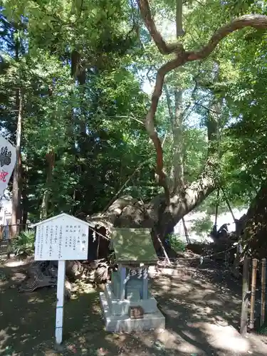 草薙神社(静岡県)
