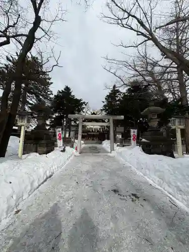 新琴似神社の初詣