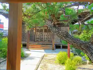 蒼龍寺の本殿・本堂