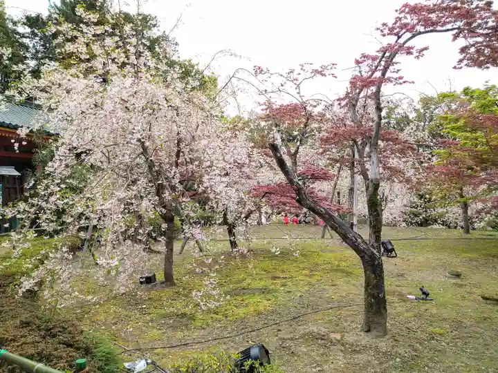 平安神宮の庭園