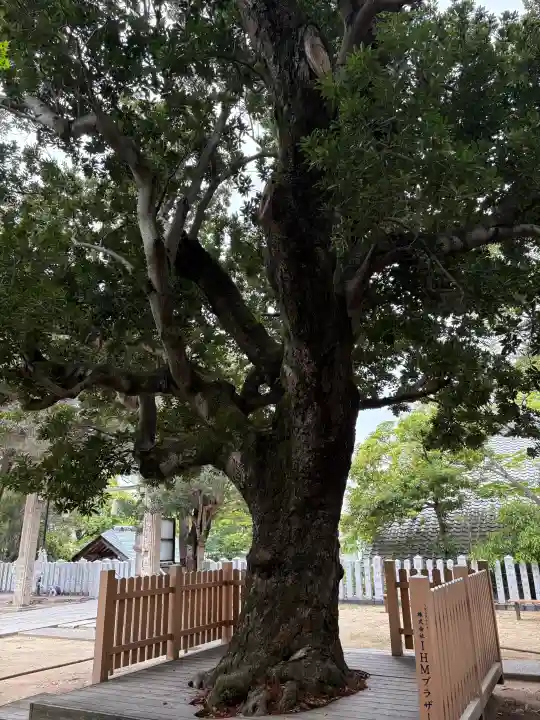 芦屋神社の{uncategorized: "未分類", other: "その他", undefined: "問題あり", building: "その他建物", grave: "お墓", sacred_gate: "鳥居", guardian: "狛犬", statue: "像", buddha: "仏像", history: "歴史", nature: "自然", garden: "庭園", animal: "動物", pagoda: "塔", temizu: "手水舎", mountain_gate: "山門・神門", sanctuary: "本殿・本堂", subordinate: "末社・摂社", art: "芸術", scenery: "景色", jizo: "地蔵", ema: "絵馬", goshuin: "御朱印", omikuji: "おみくじ", items: "授与品その他", amulet: "お守り", goshuincho: "御朱印帳", eats: "食事", festival: "お祭り", votive_dance: "神楽", shichigosan: "七五三参", wedding: "結婚式", experience: "体験その他", initially: "初詣", around: "周辺", anti_infection: "感染症対策"}