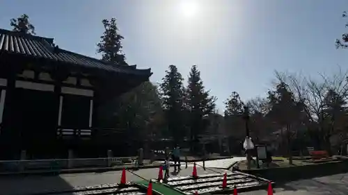 東大寺(奈良県)