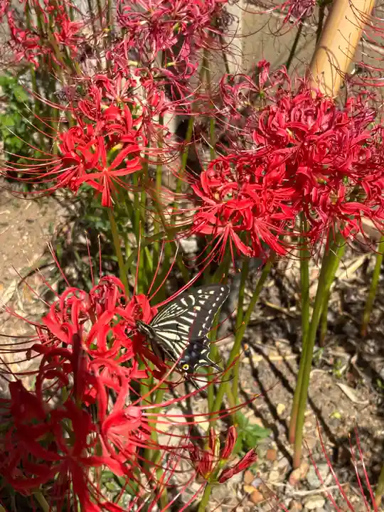 住吉神社(兵庫県)