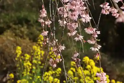 瑞雲寺(福島県)