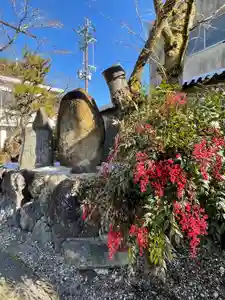 天鷹神社(岐阜県)(2022年02月01日(火) 10時33分25秒投稿)