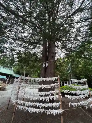 琴似神社(北海道)