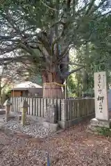 熊野速玉大社(和歌山県)