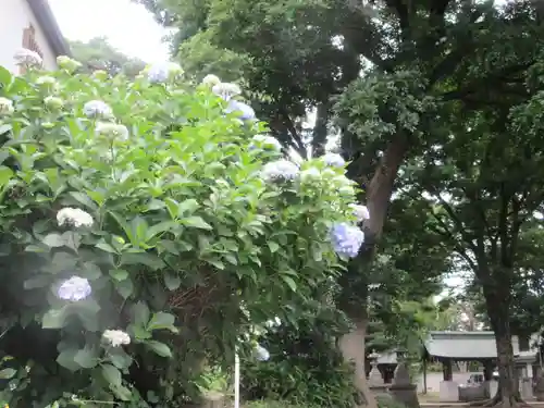 下高井戸八幡神社(東京都)