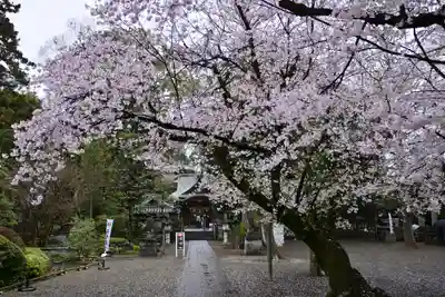 岩槻久伊豆神社(埼玉県)