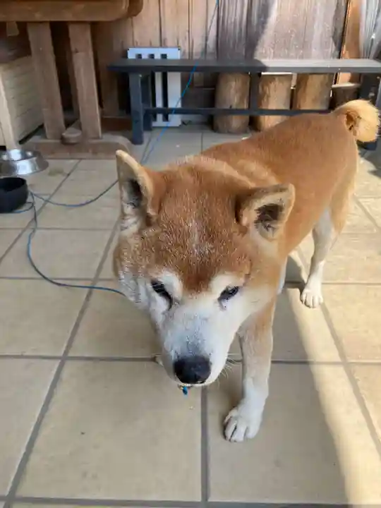 原江寺(山口県)