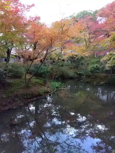 圓光寺の御朱印