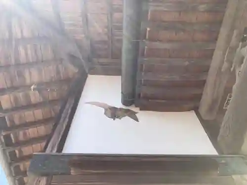 茶屋薬師堂(神奈川県)