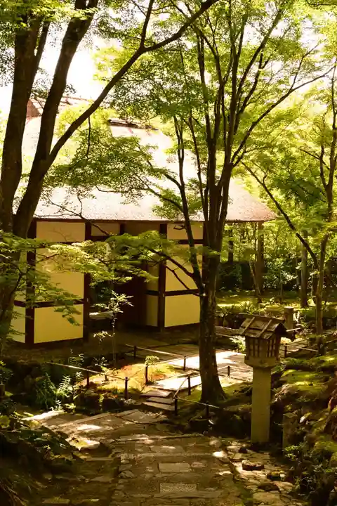 常寂光寺(京都府)