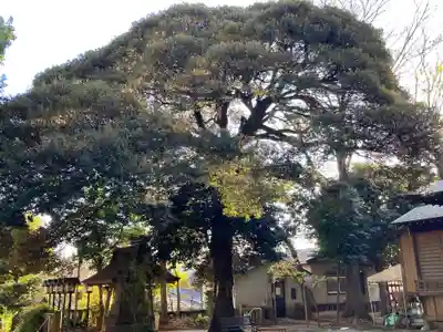 太子堂八幡神社(東京都)