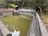 厳島神社(徳島県)