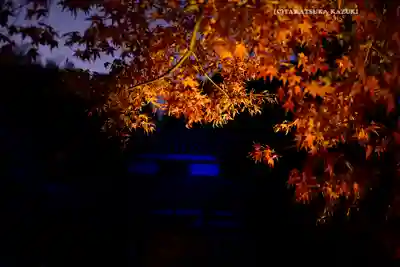 長谷寺(神奈川県)