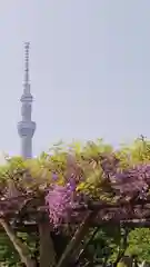 亀戸天神社の庭園